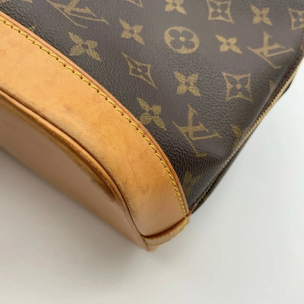 Louis Vuitton brand louis